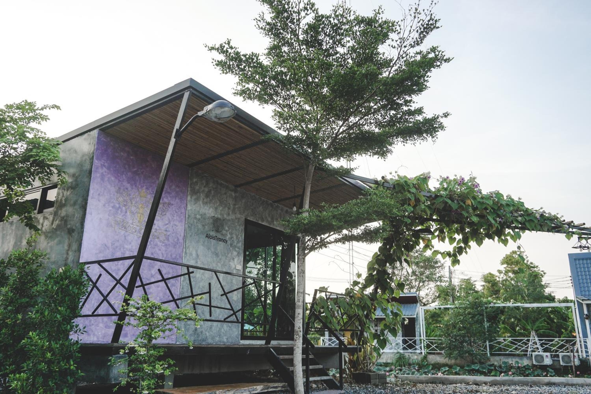 Patoey House