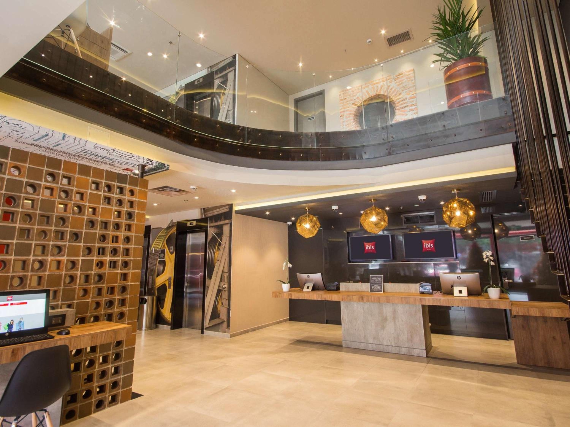 Foto de ibis Cucuta