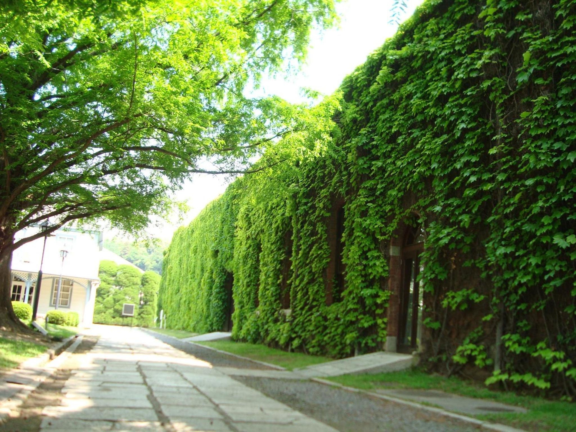 Foto de Kurashiki Ivy Square