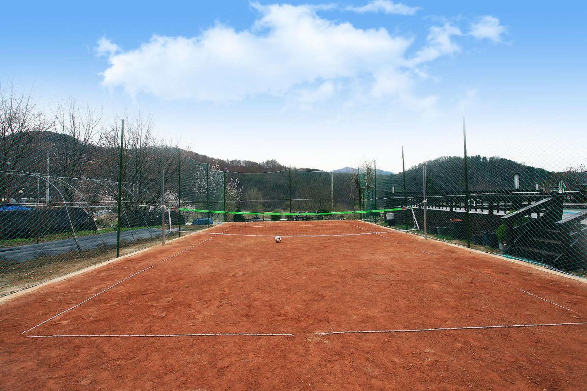 Foto de Forest of Color Pension