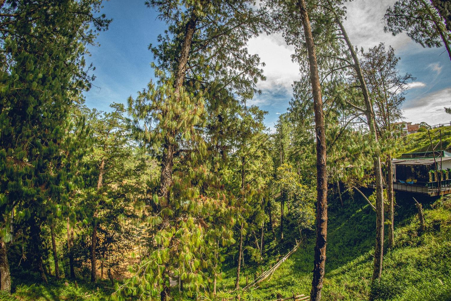 Foto de Mumu by Bernalo Hotels