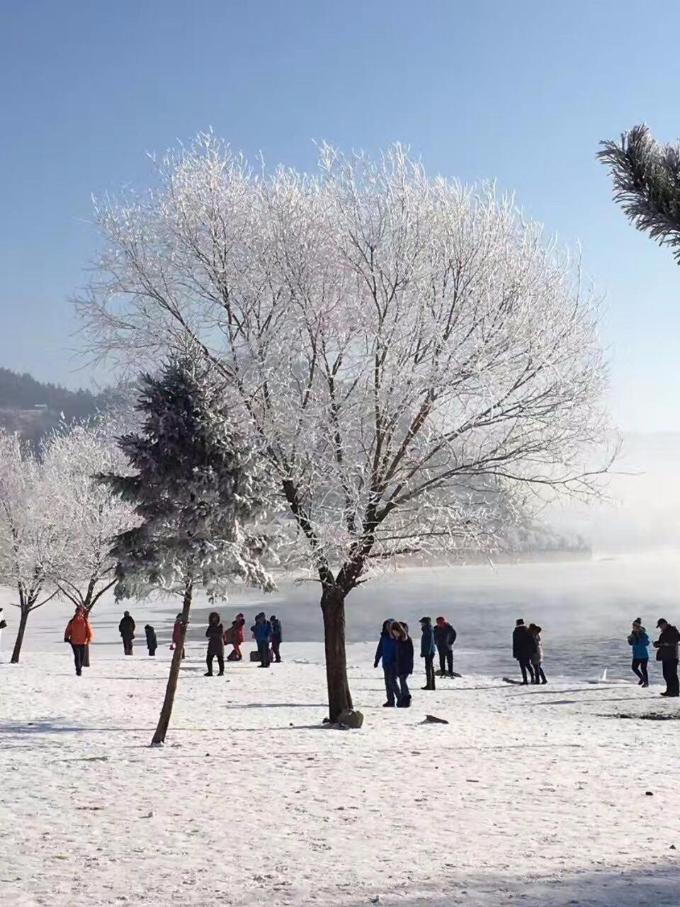 Foto de Lavande Hotel Jilin Songjiang Road Jiangwan Bridge Branch