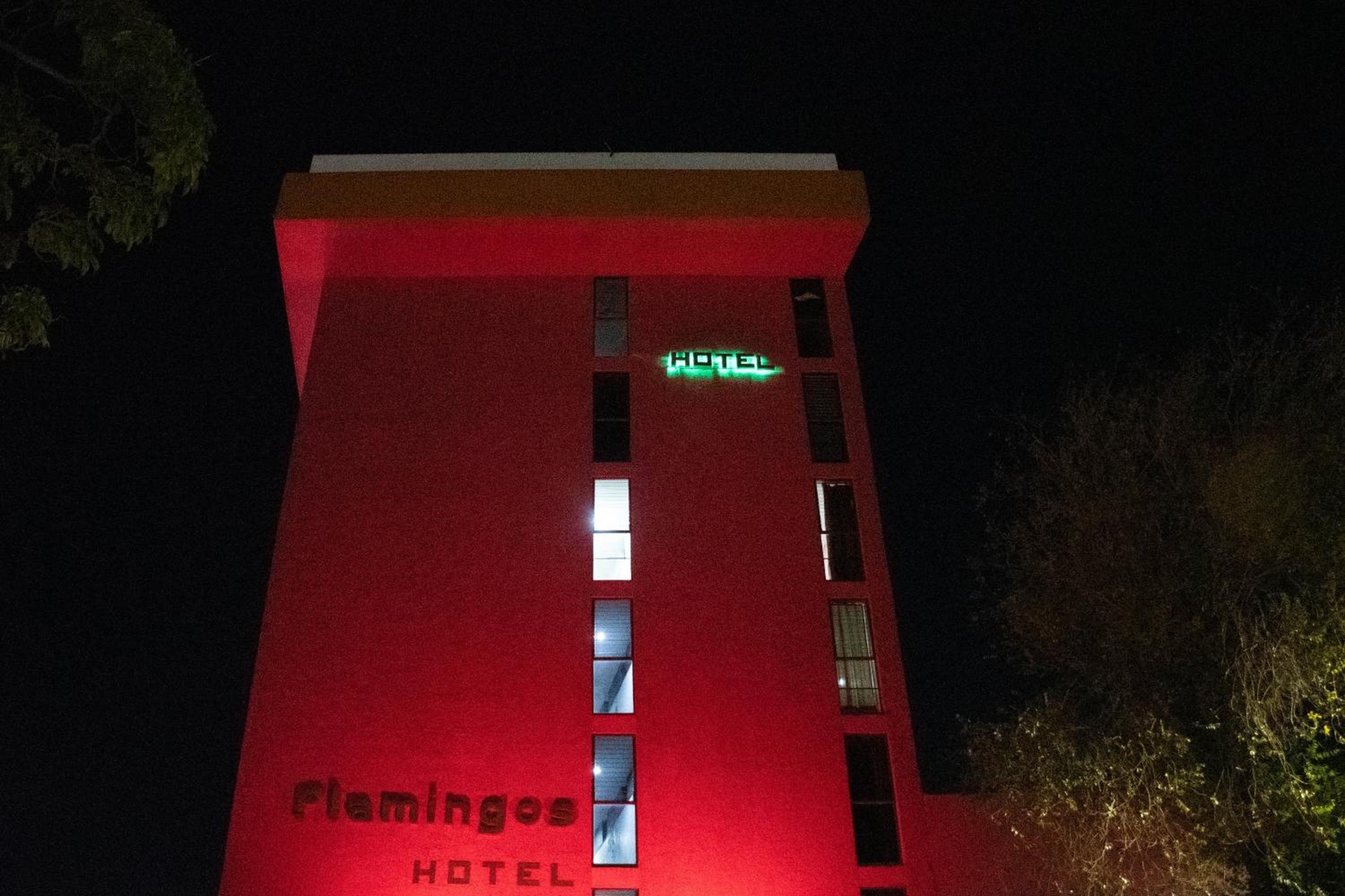 Foto de Hotel Flamingos