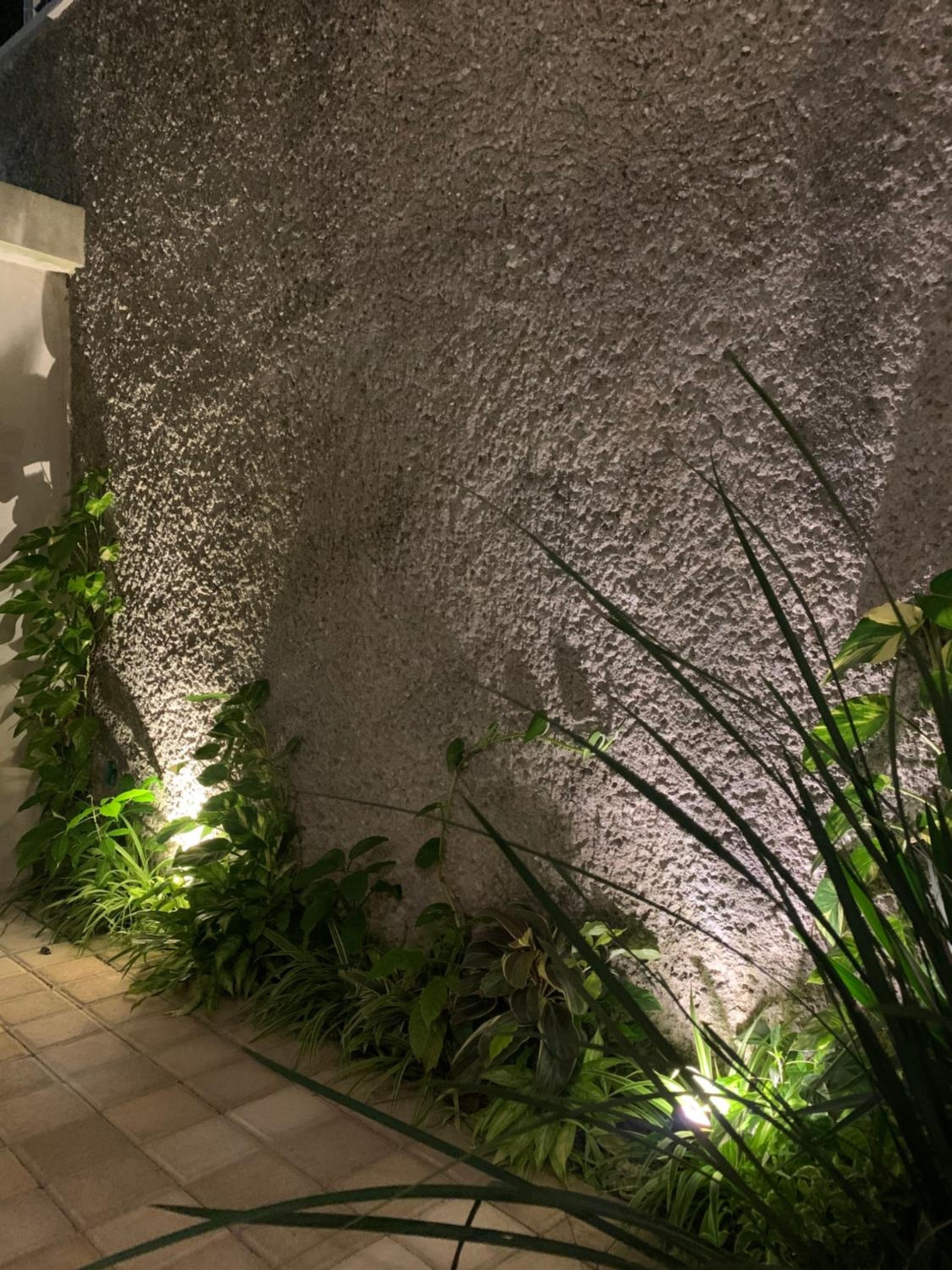 Foto de Las Palmas Studios