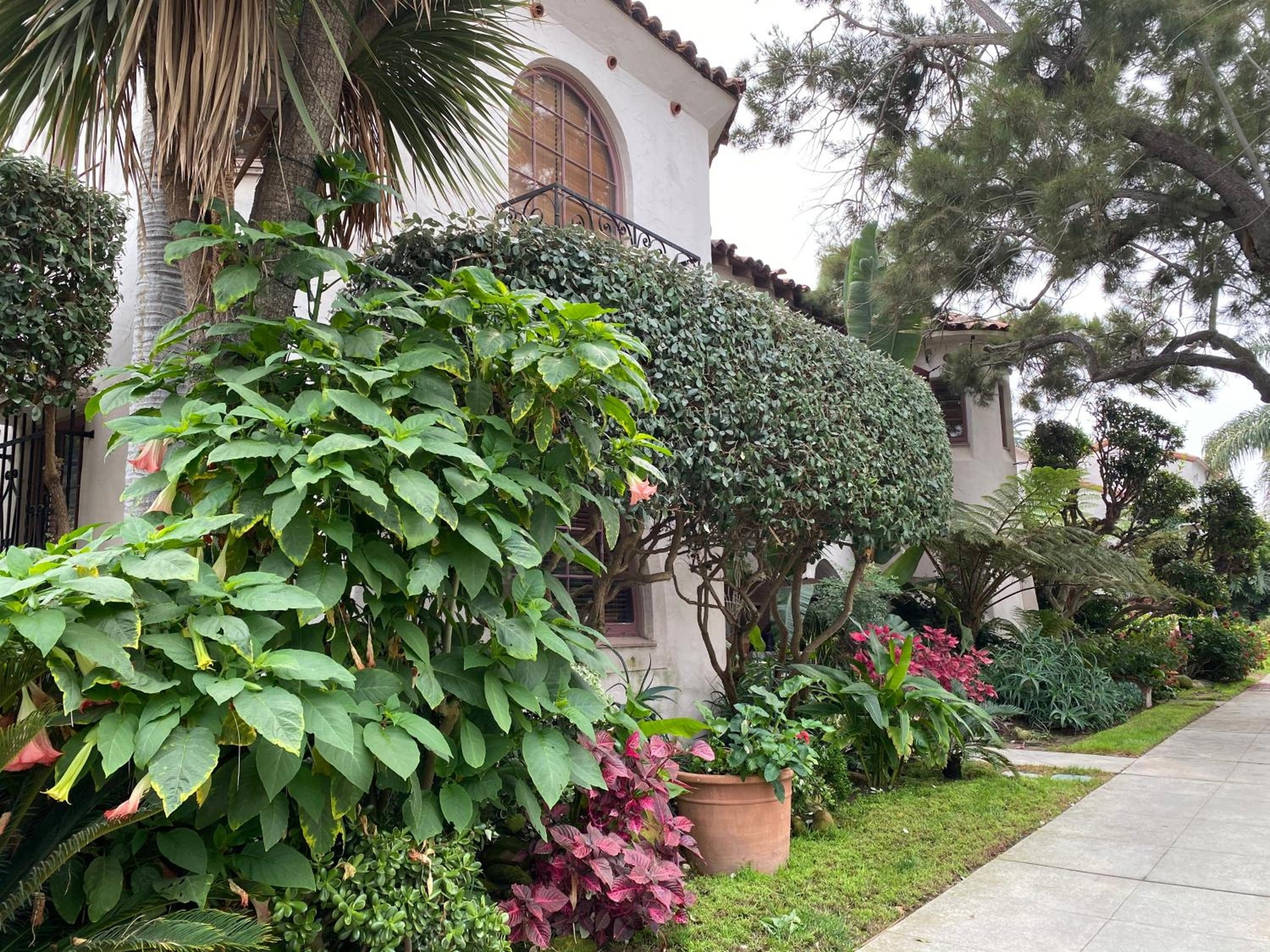 Villa Rosa Inn, Santa Barbara