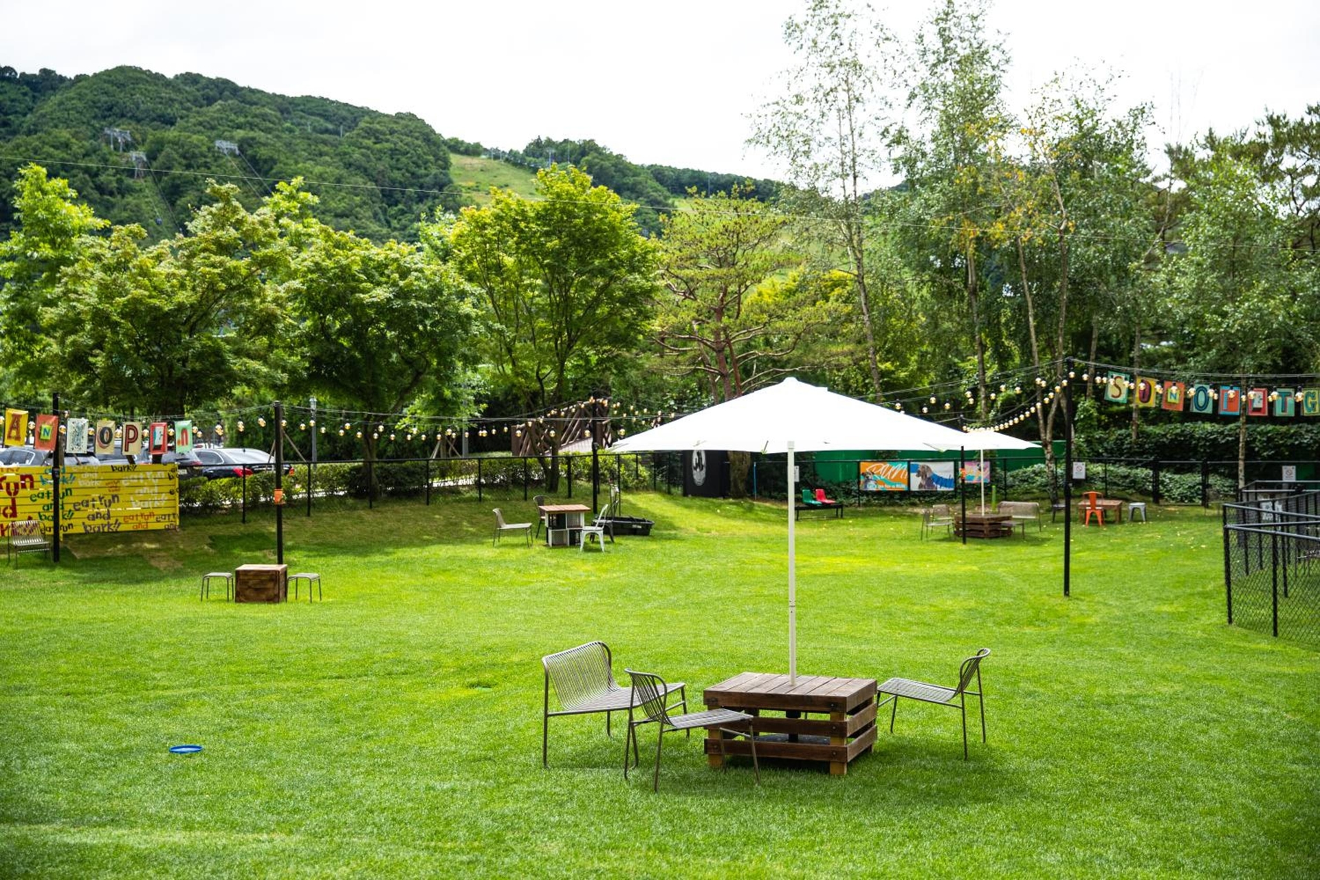 Foto de Sono Pet Clubs & Resorts VivaldiPark
