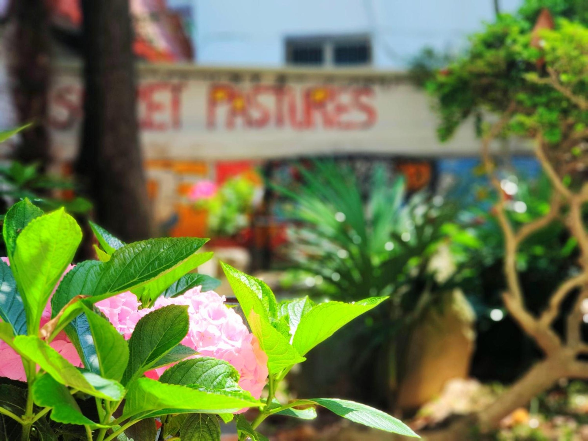 Foto de Gallery Family Hotel