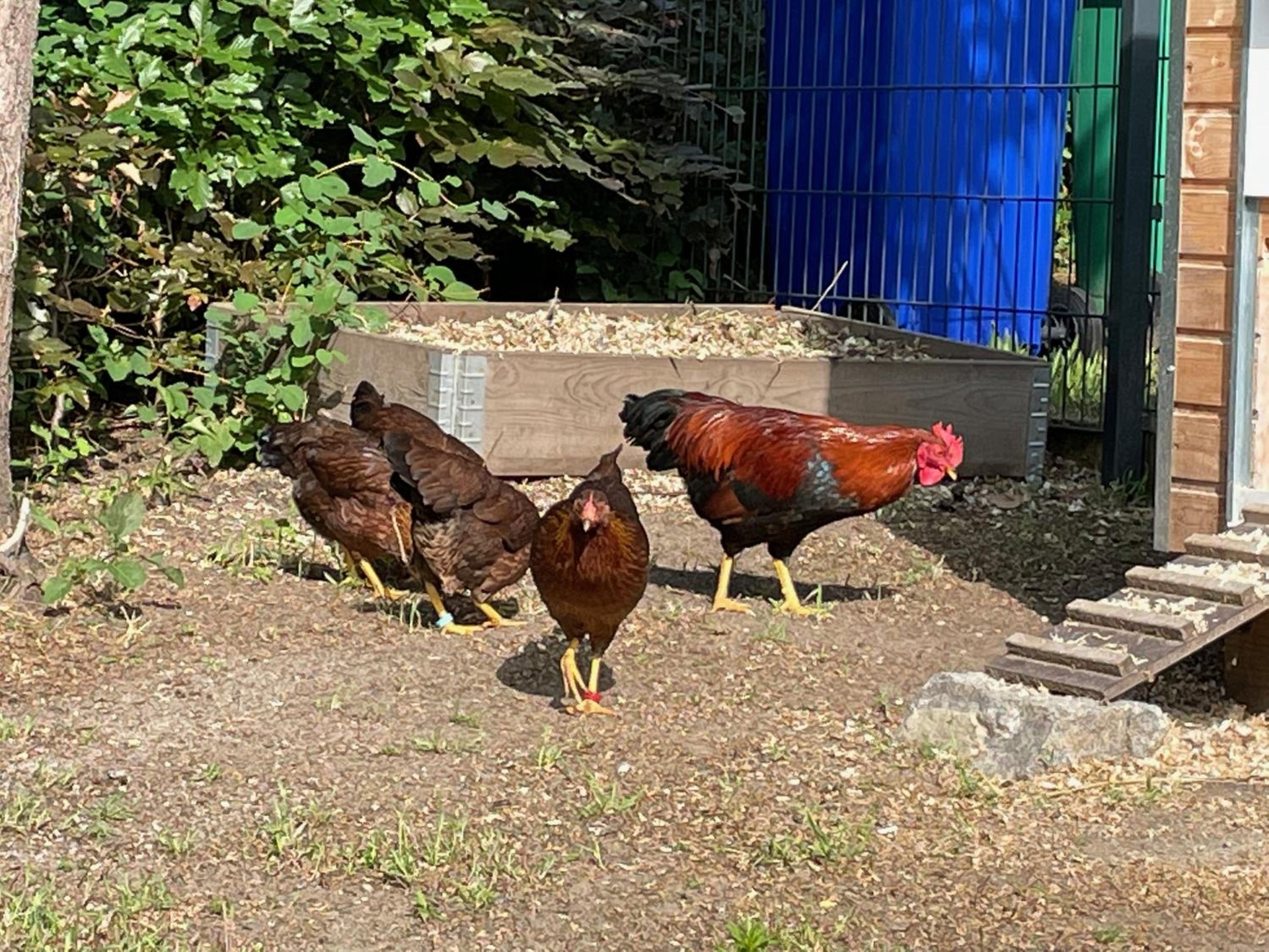 Foto de Ferienwohnung Carla Rohls