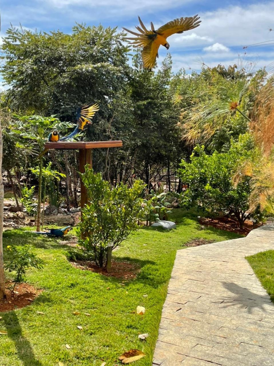 Foto de Villa Tereza