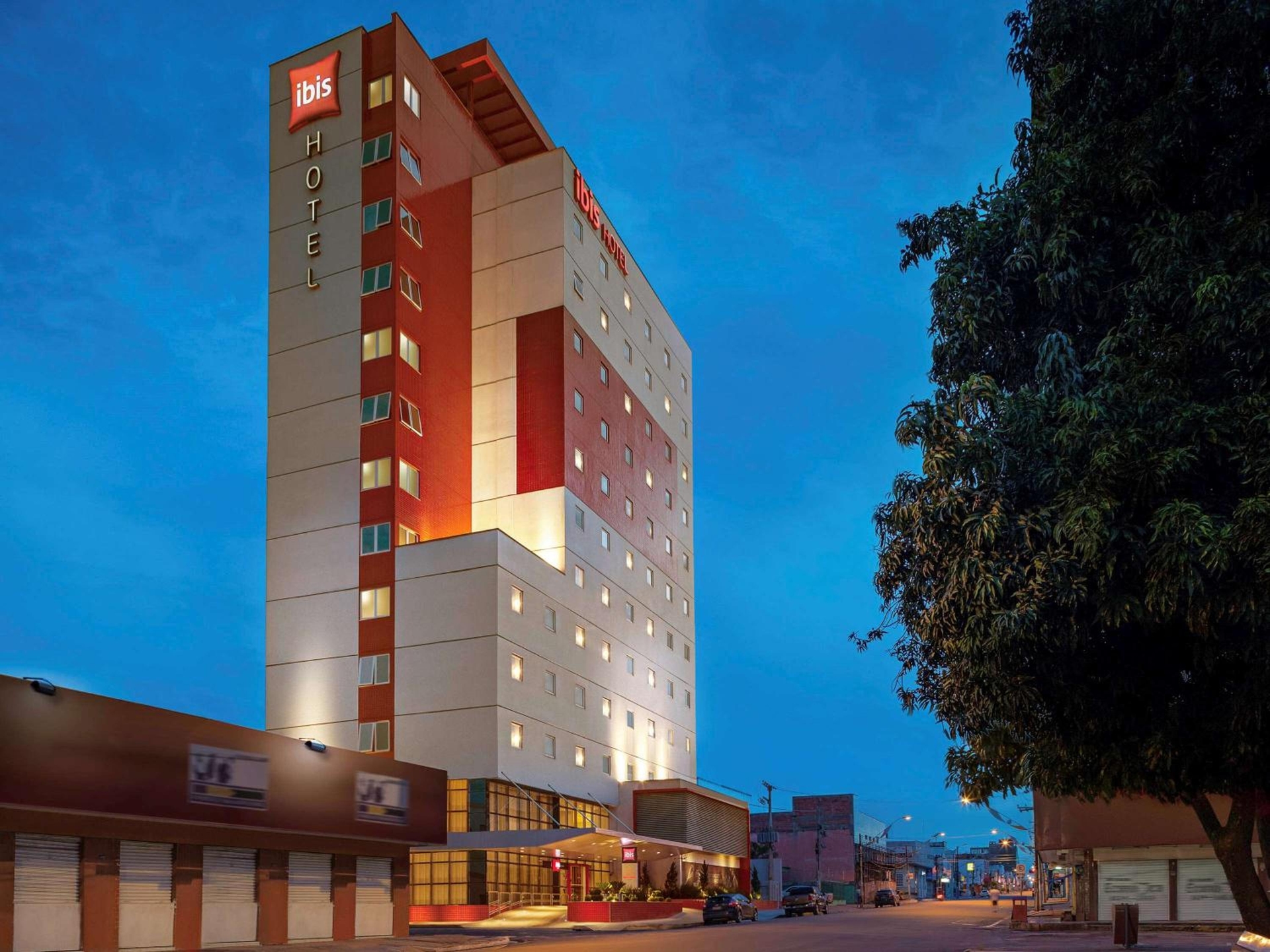Foto de ibis Imperatriz