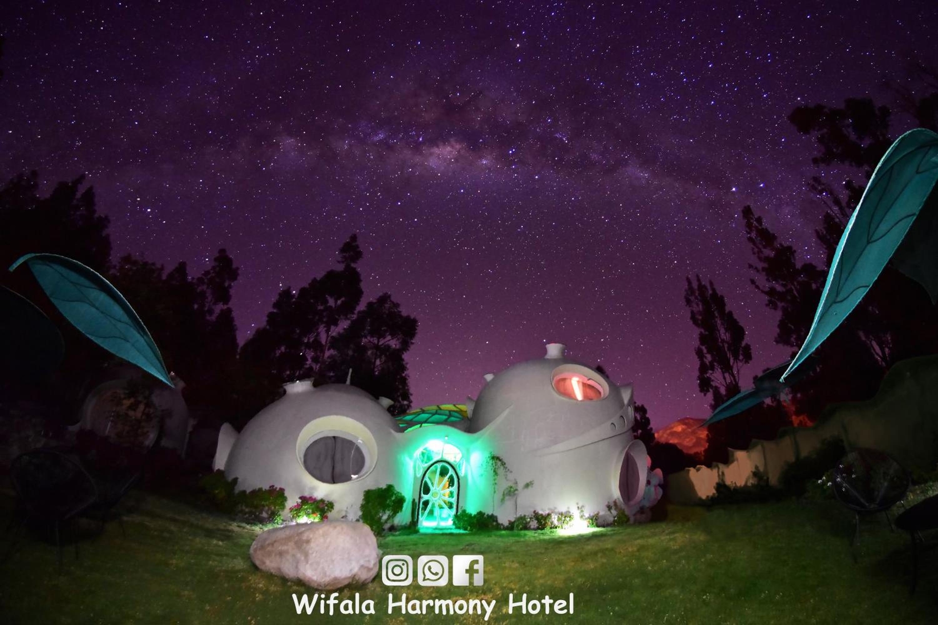 Foto de Wifala Harmony Hotel