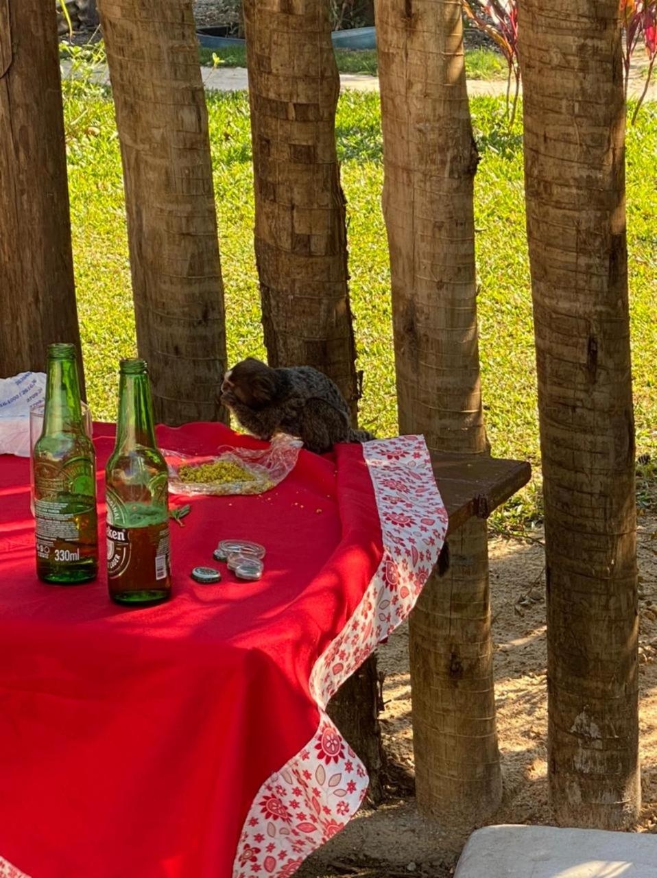 Foto de Pousada Vila da Praia