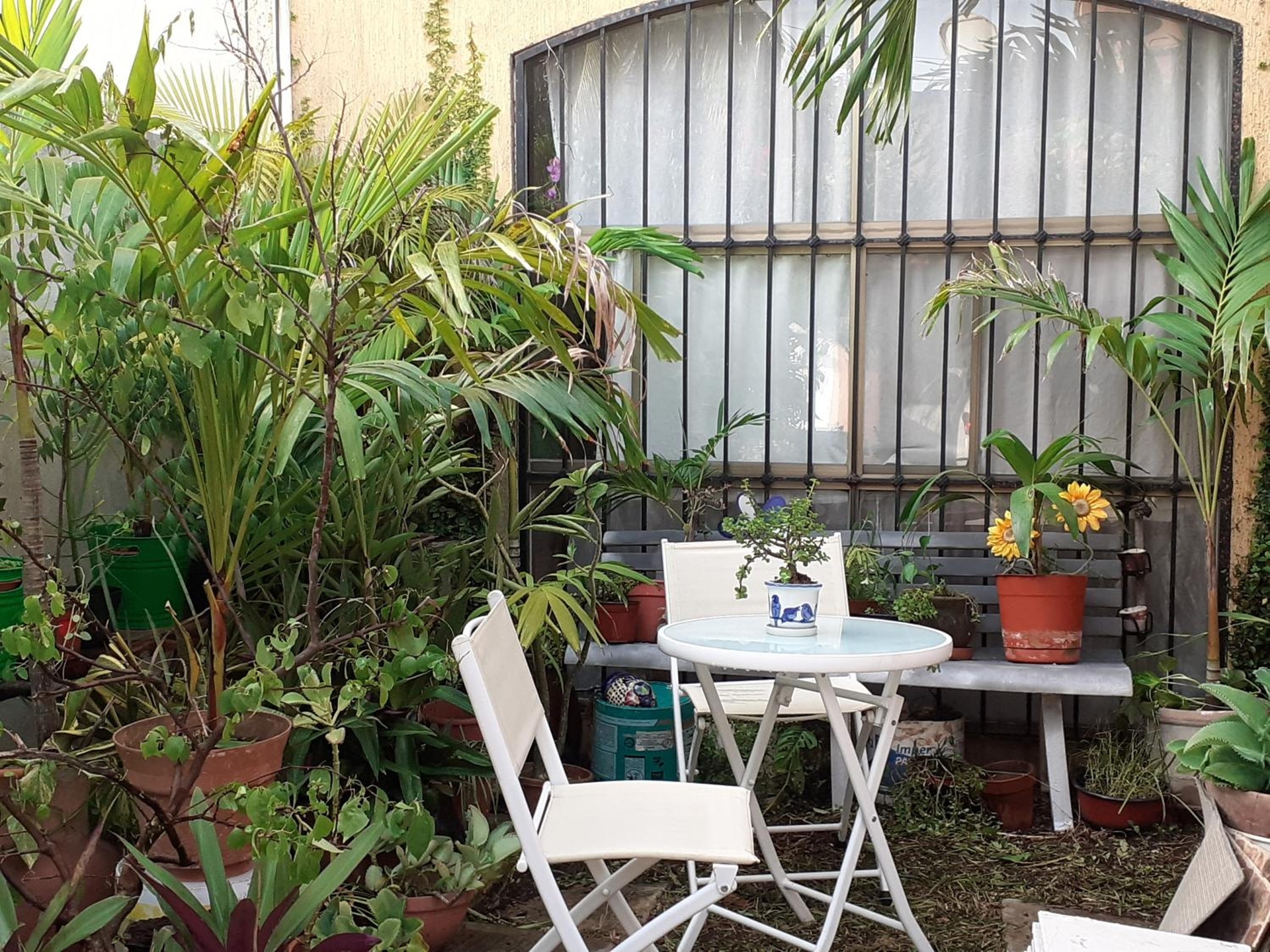 Foto de Casa Luz Verde