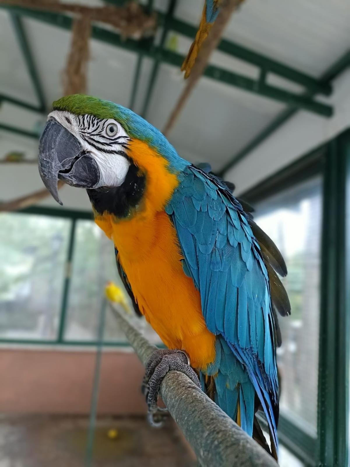 Foto de Polonezköy Country Club & Accommodation in the Wildlife Park!