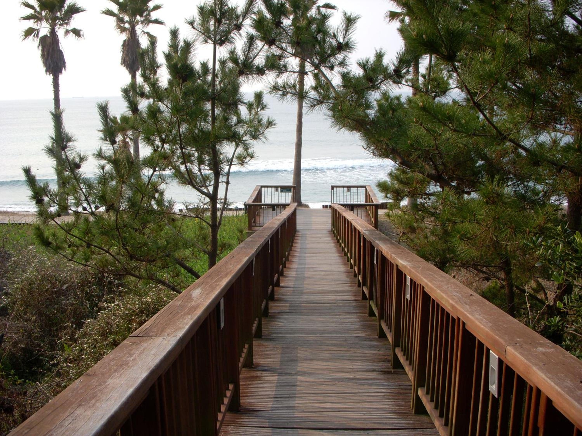 Foto de Sunny Day Jeju