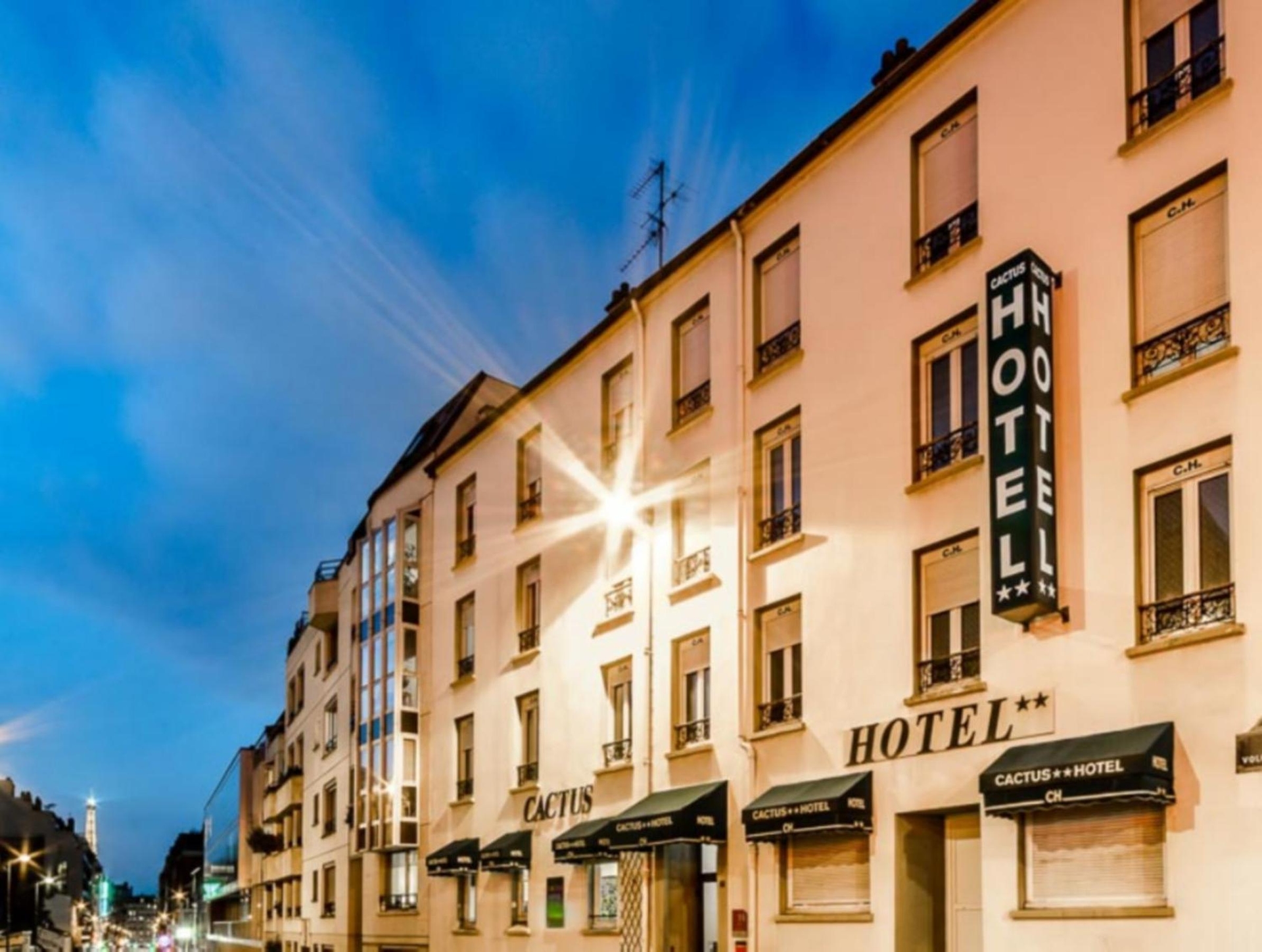 Hotel Cactus