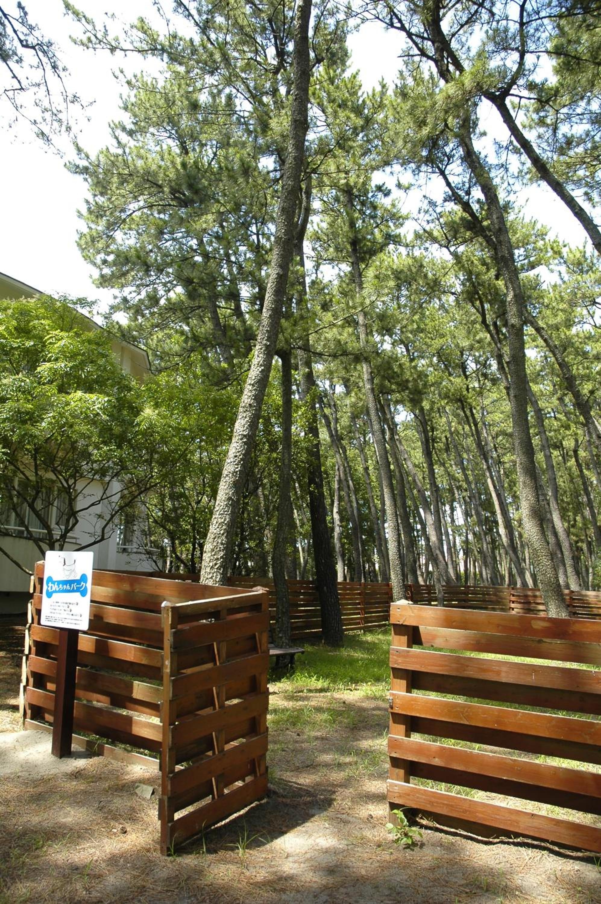 Foto de Seagaia Forest Cottages
