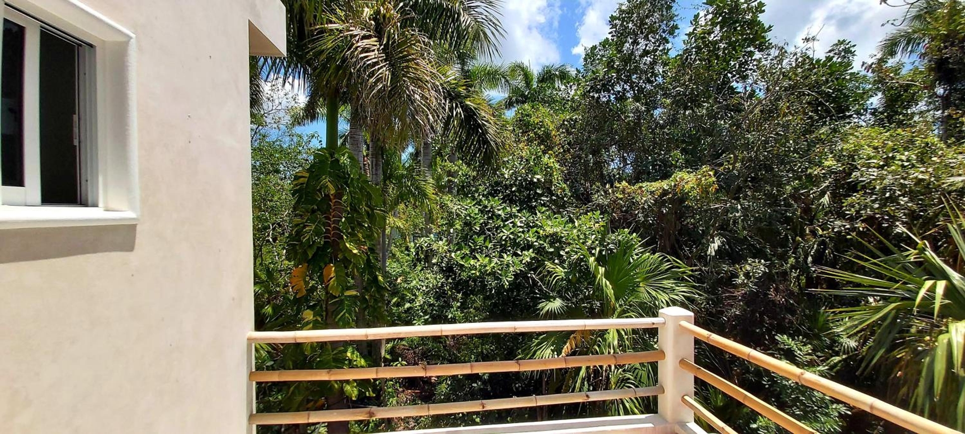 Foto de NEW! CASA XOLA Cenote and Fauna Loft