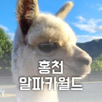 Foto de Heidi Korea