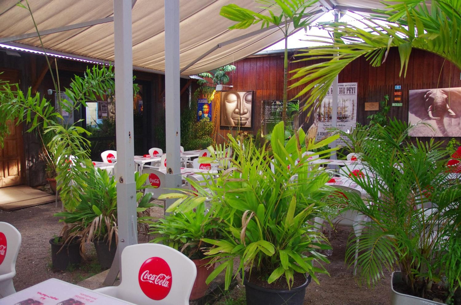 Foto de Hôtel des Palmistes