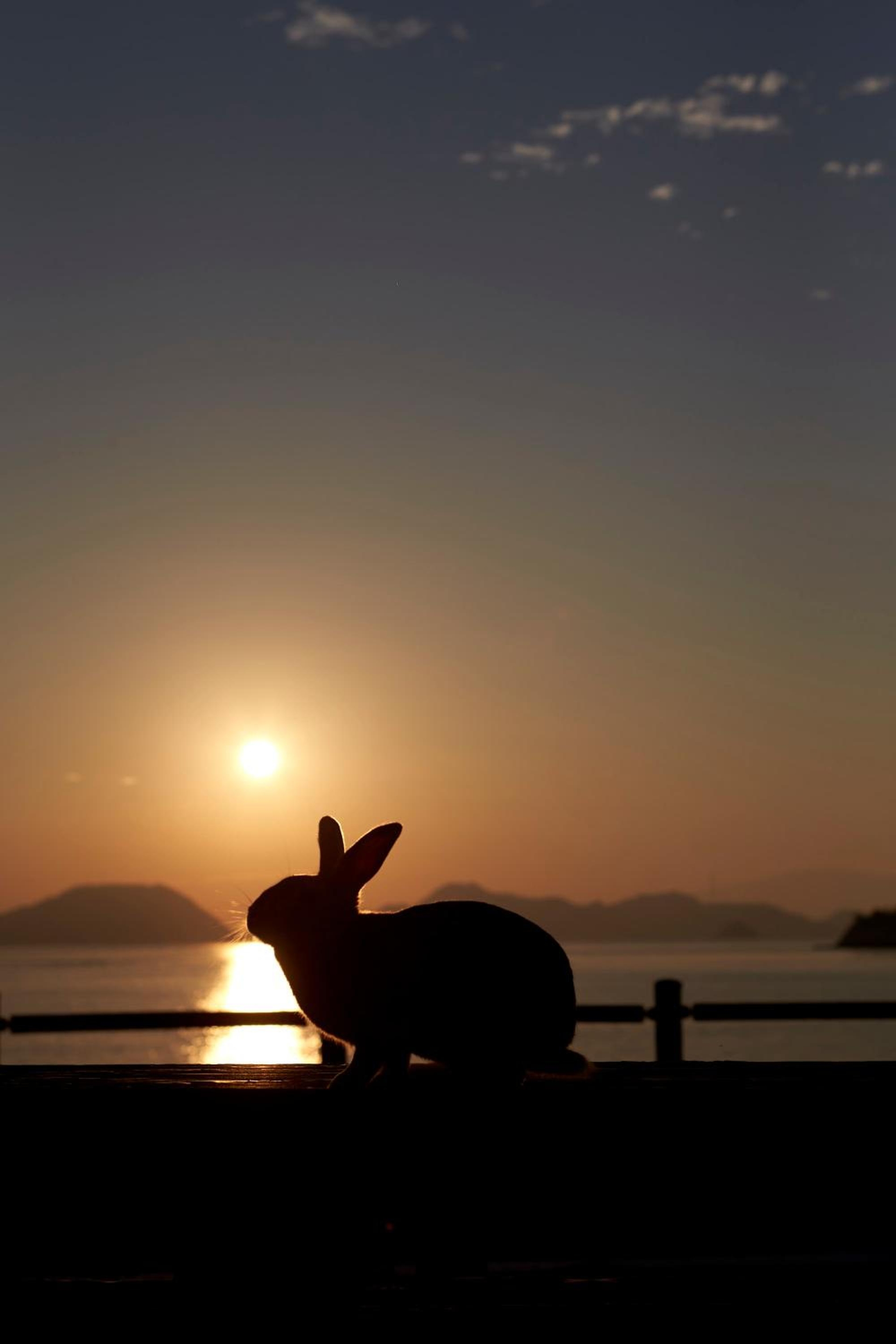 Foto de Kyukamura Ohkunoshima