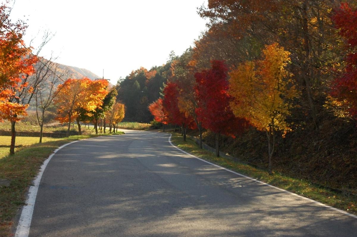 Foto de Namhae Neuhaus