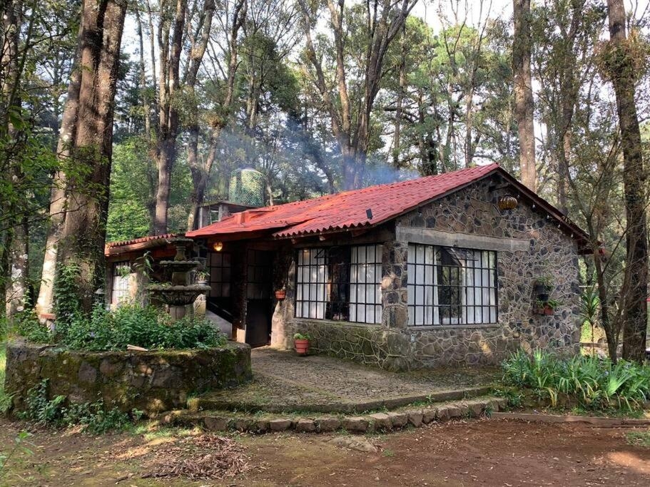 Hermosa cabaña en el bosque