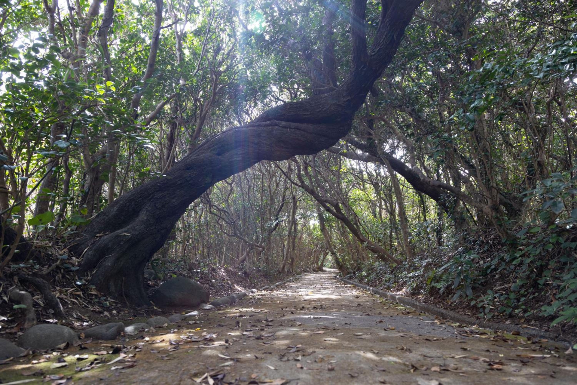 Foto de TheMana Village