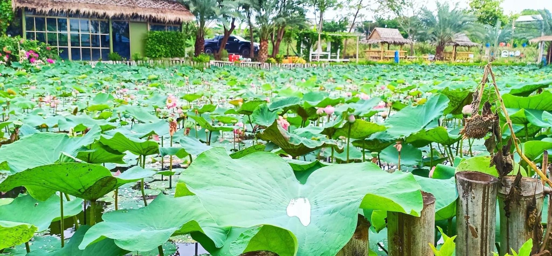 Foto de Ban Ing Suan