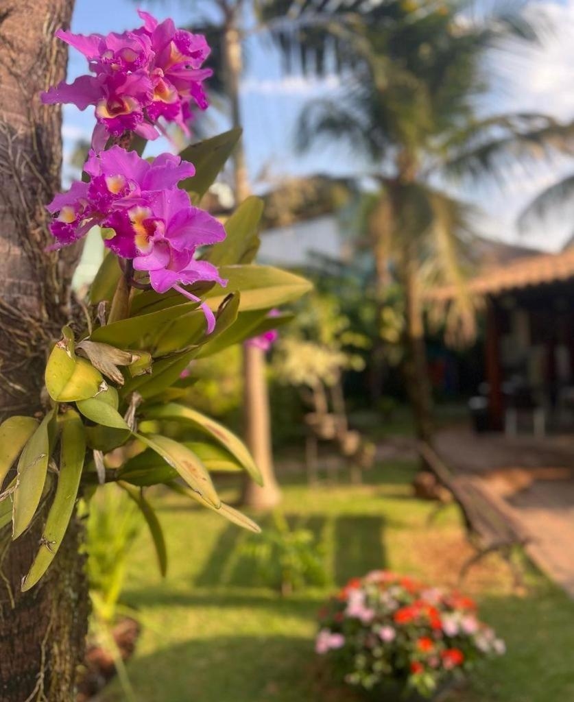 Foto de Castelo Inn Hotel