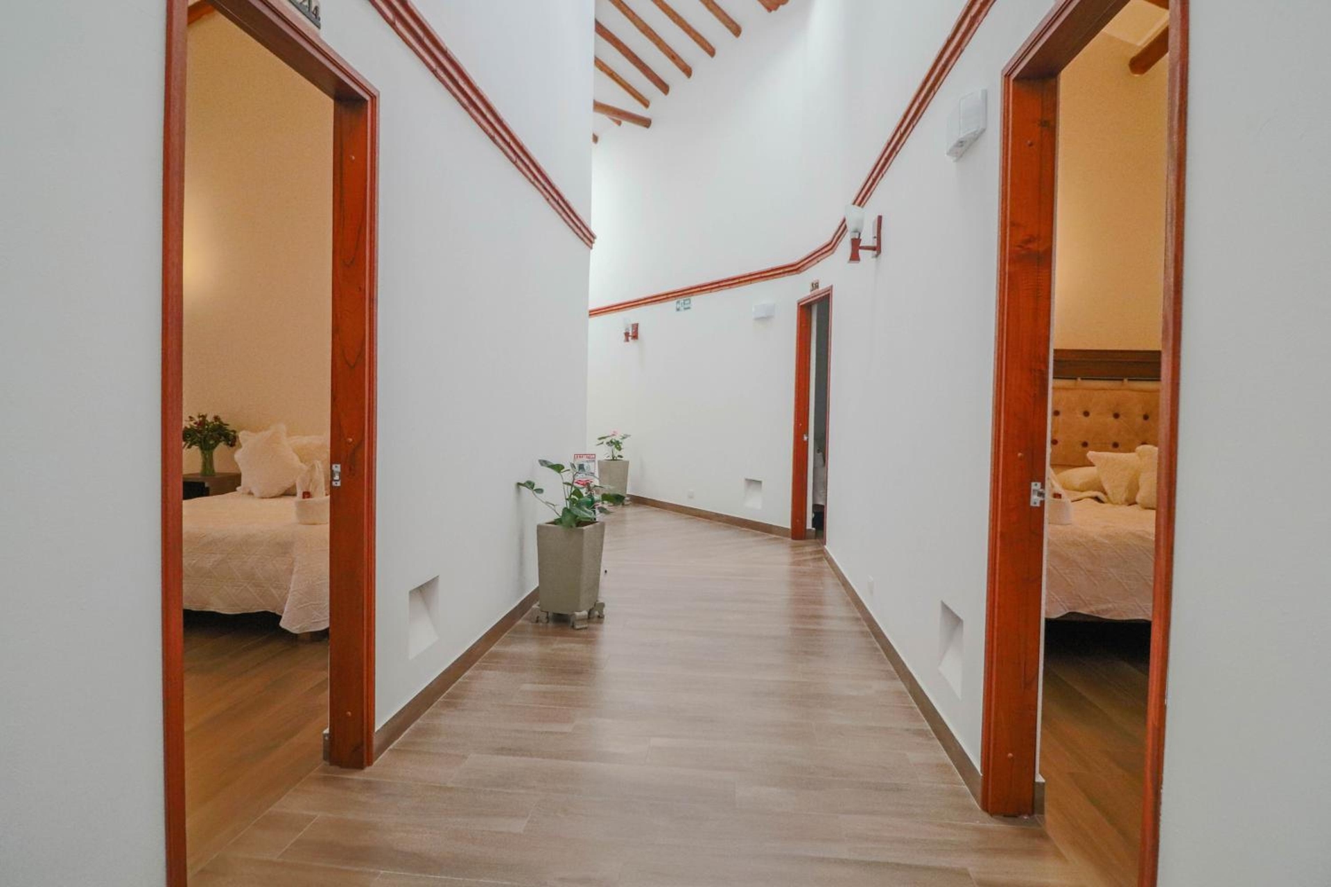 Foto de Hotel las Palmas