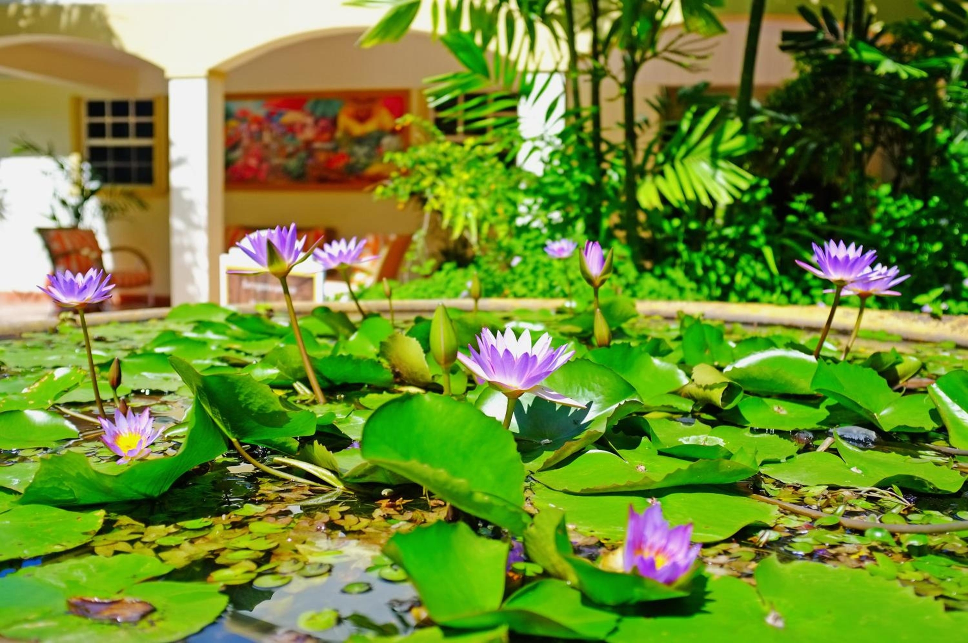 Foto de Blue Horizons Garden Resort