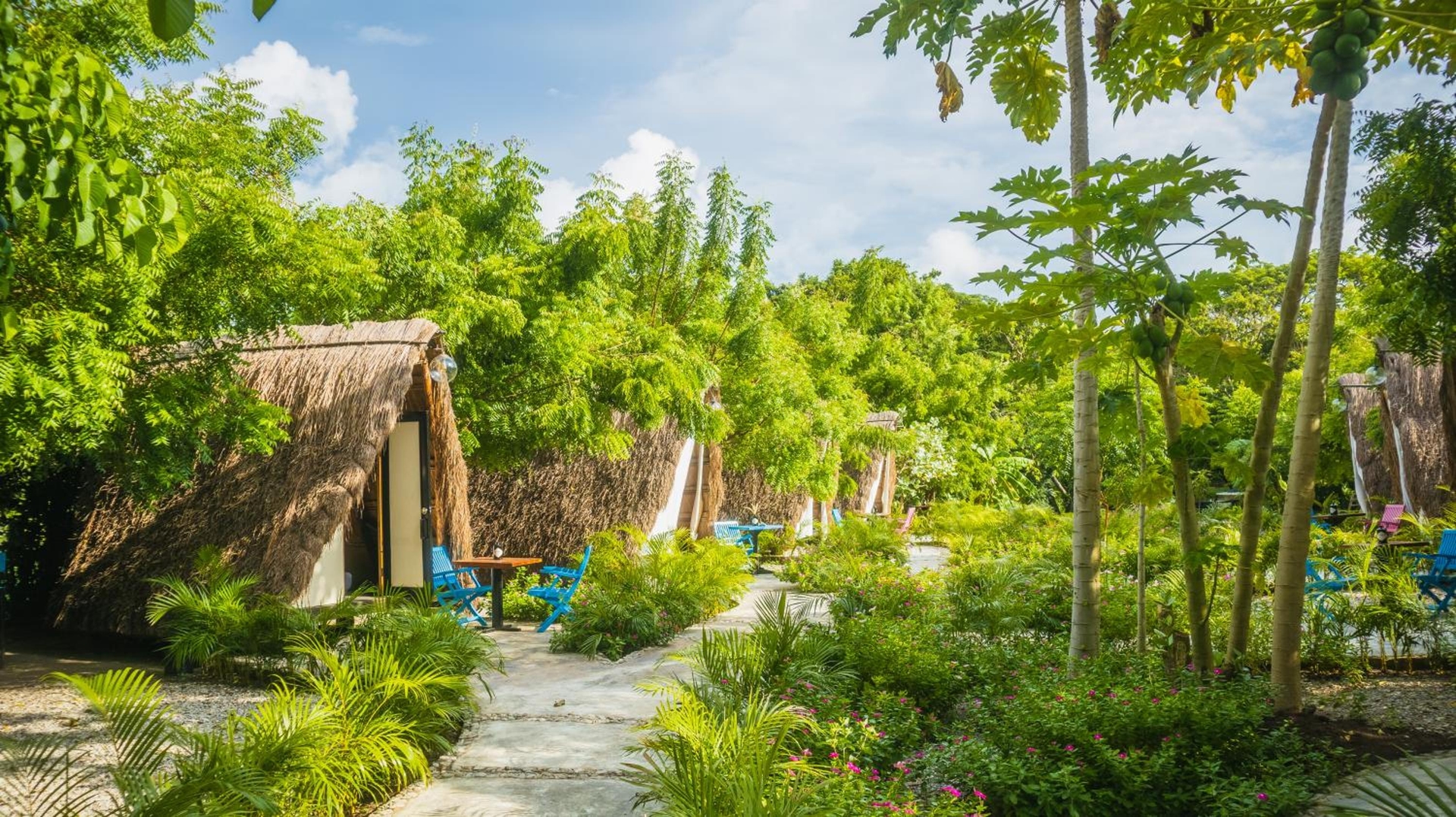 AMALIFE Beach Club & Hotel