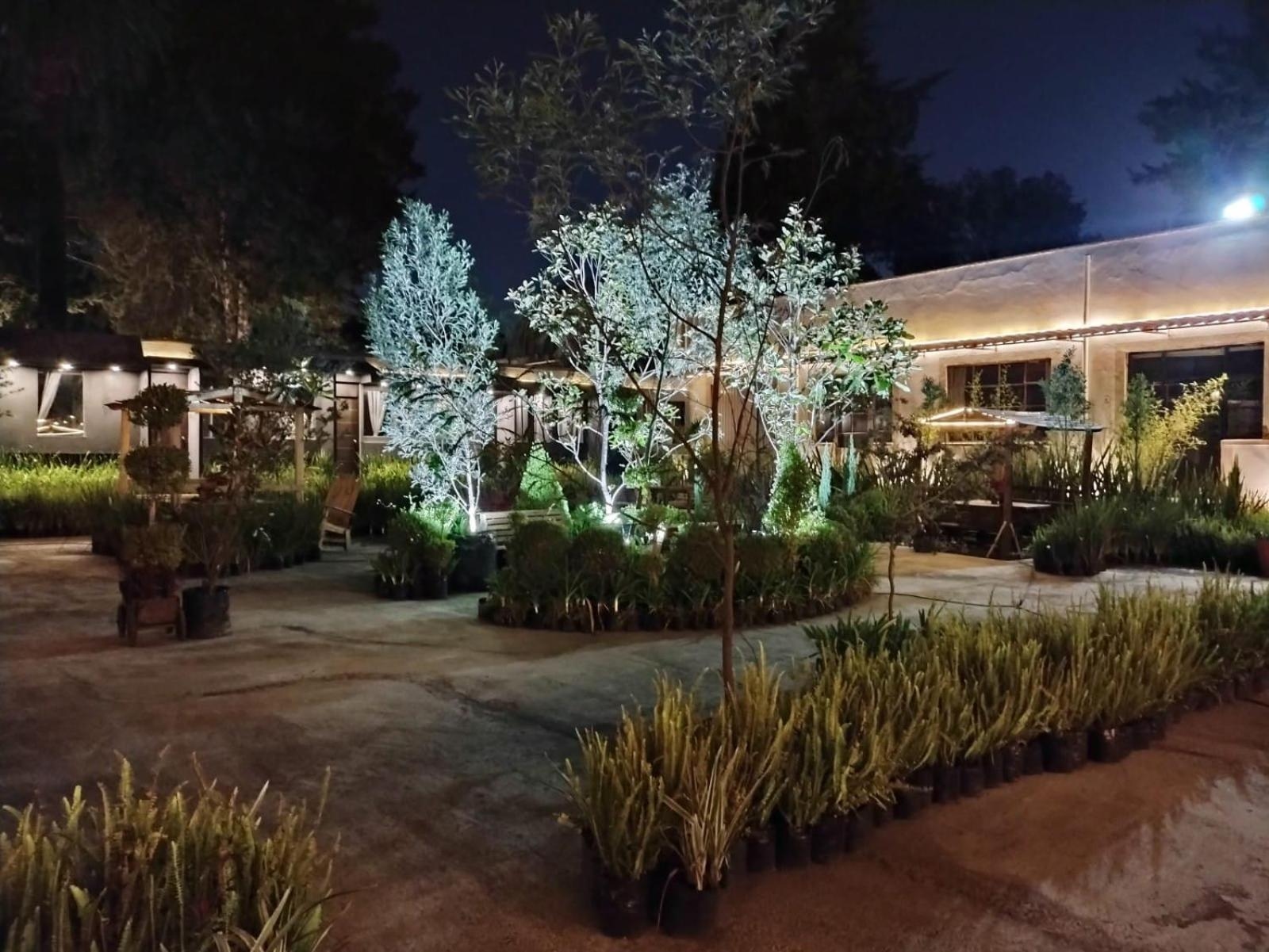 Foto de Utopía Hotel Boutique
