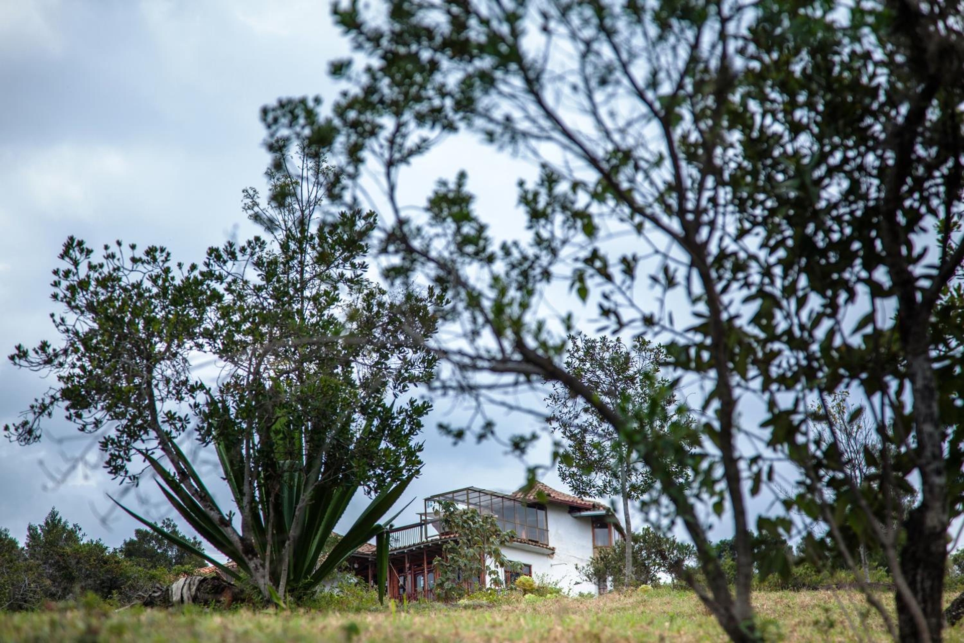 Hospedaje La Tierrita Villa de Leyva, Villa de Leyva