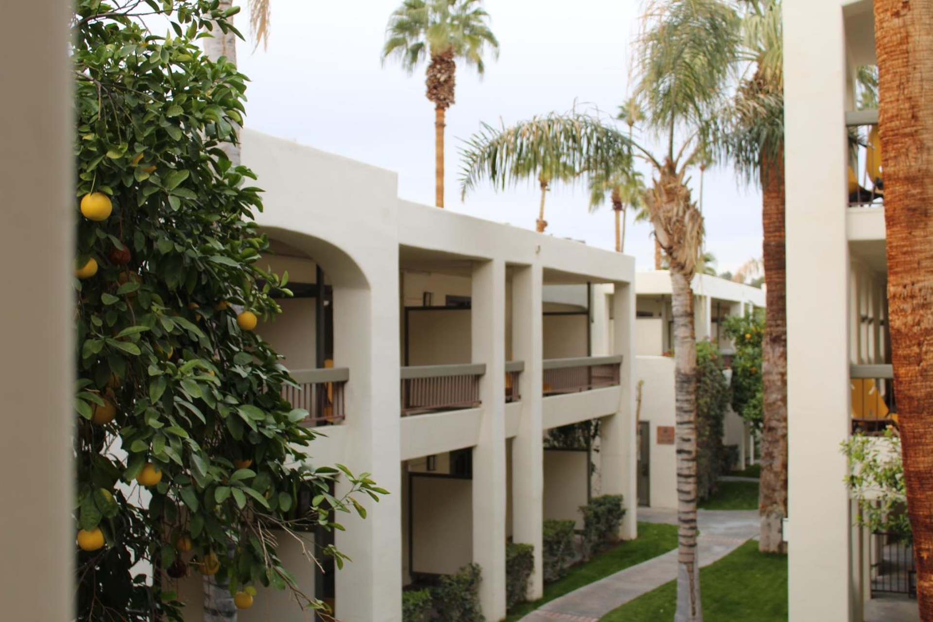 Palm Mountain Resort & Spa, Palm Springs
