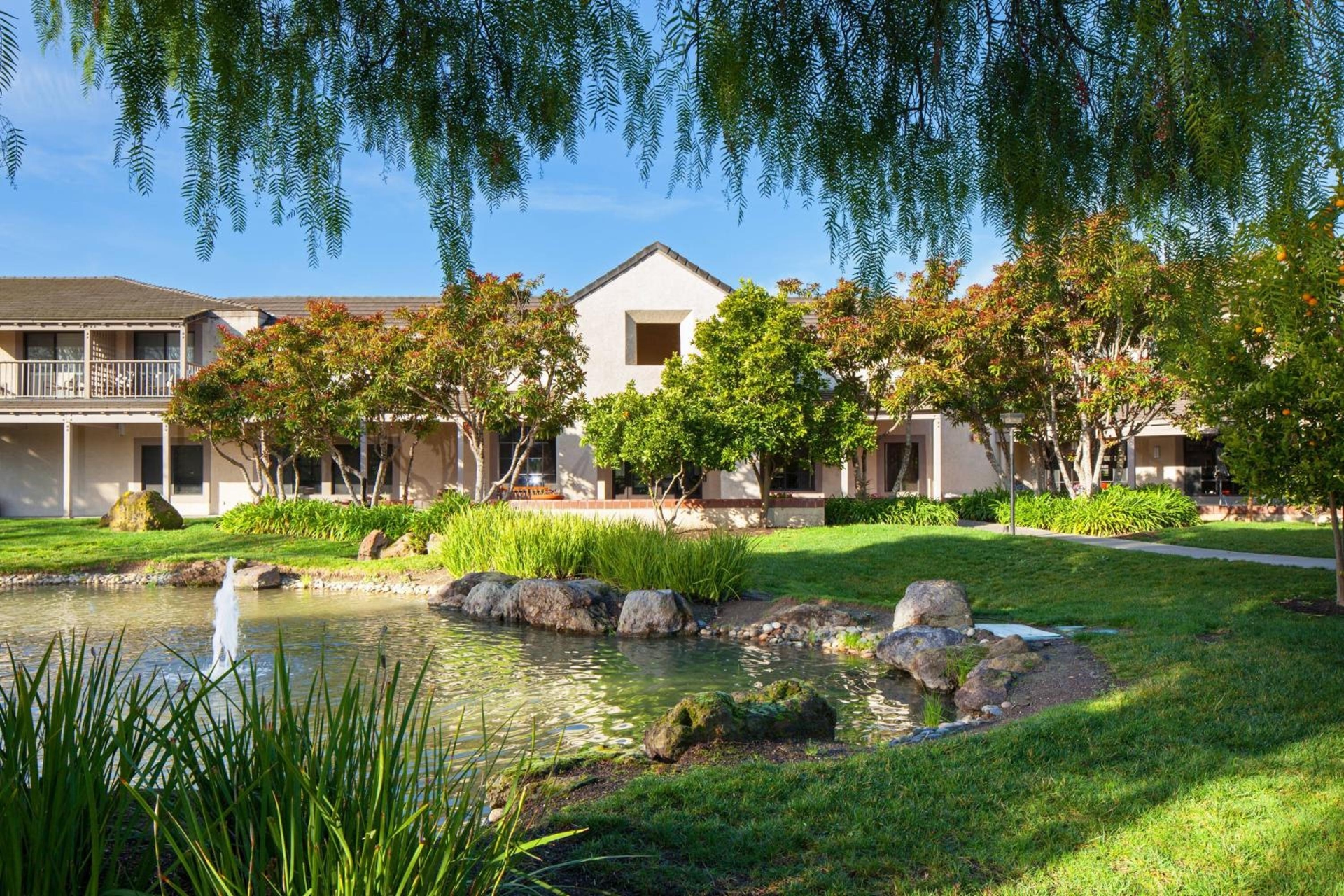 Four Points by Sheraton Pleasanton, Pleasanton