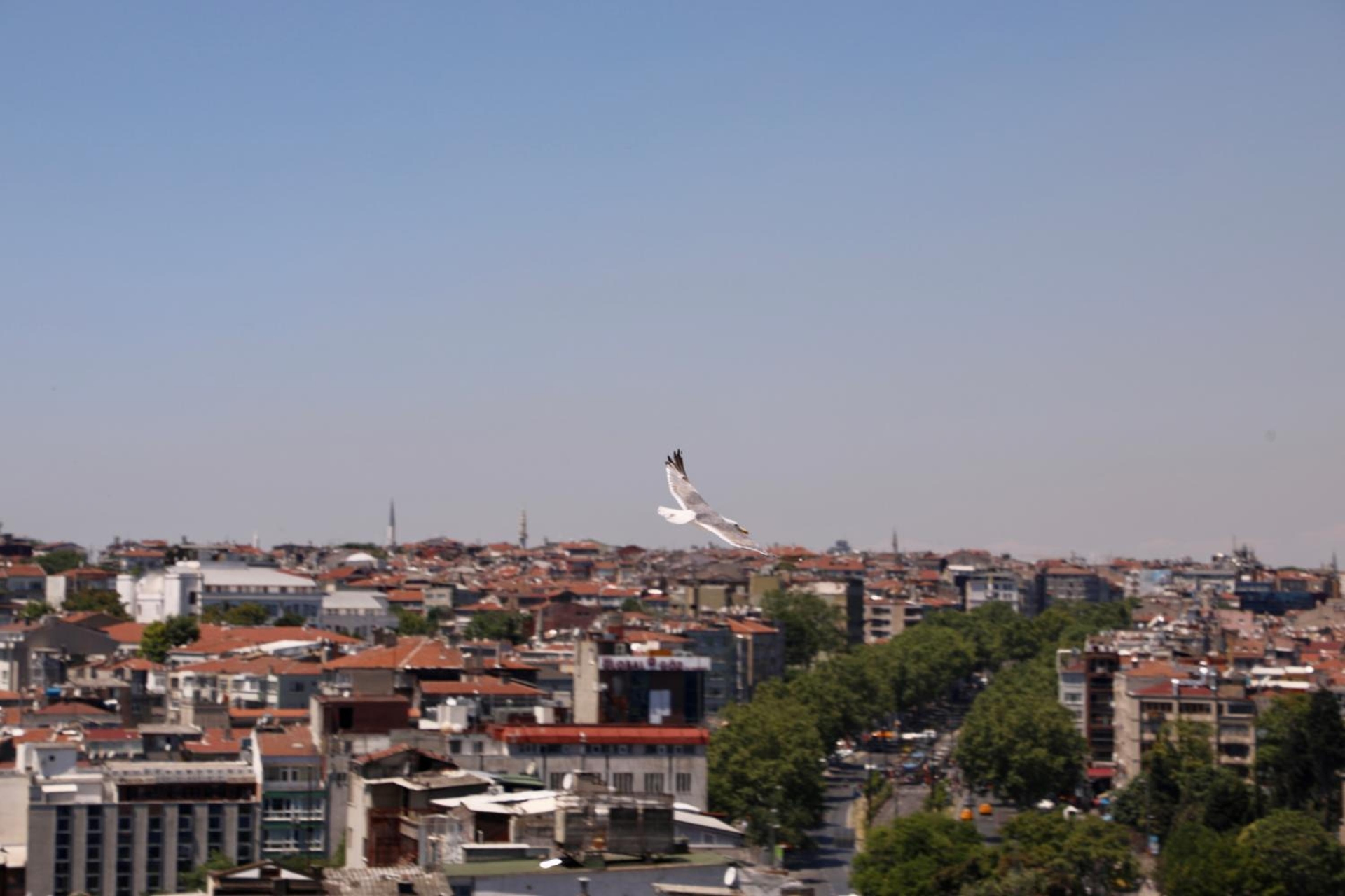 Foto de Istanbul Royal Hotel
