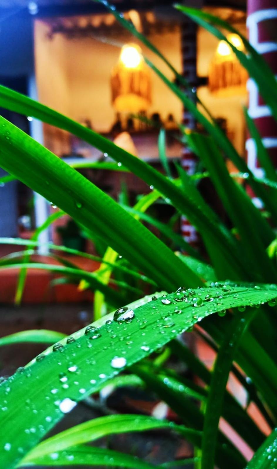Foto de Albarrada Hotel Boutique