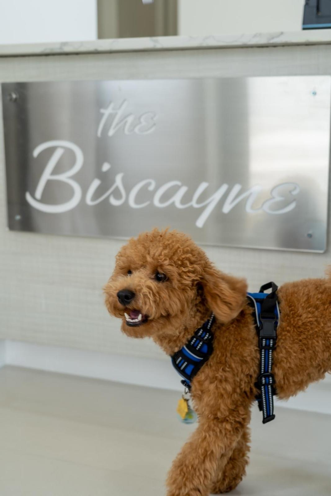 Foto de The Biscayne Hotel