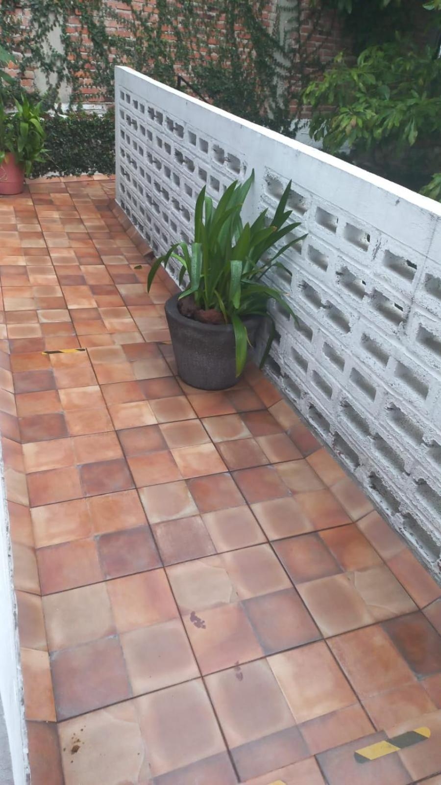 Foto de Coyoacan City Lofts