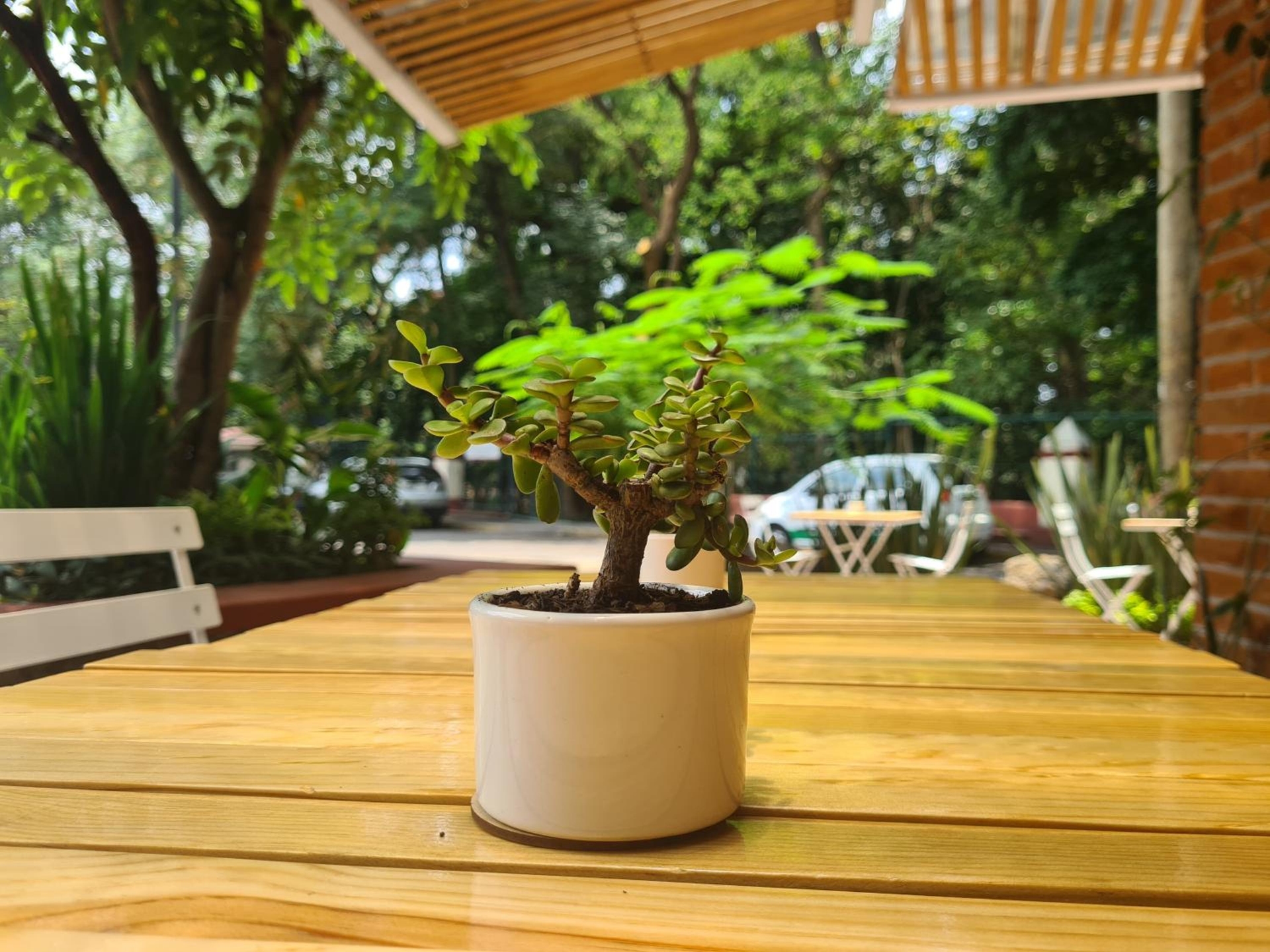 Foto de Sisao Hotel-Café