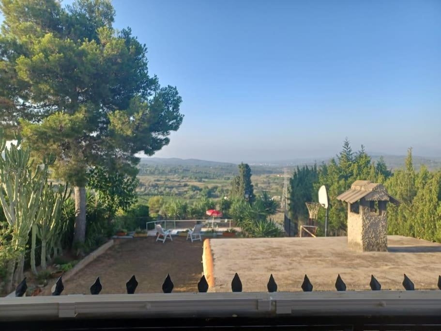 Beautiful Villa with huge private pool and vineyard view, Valencia