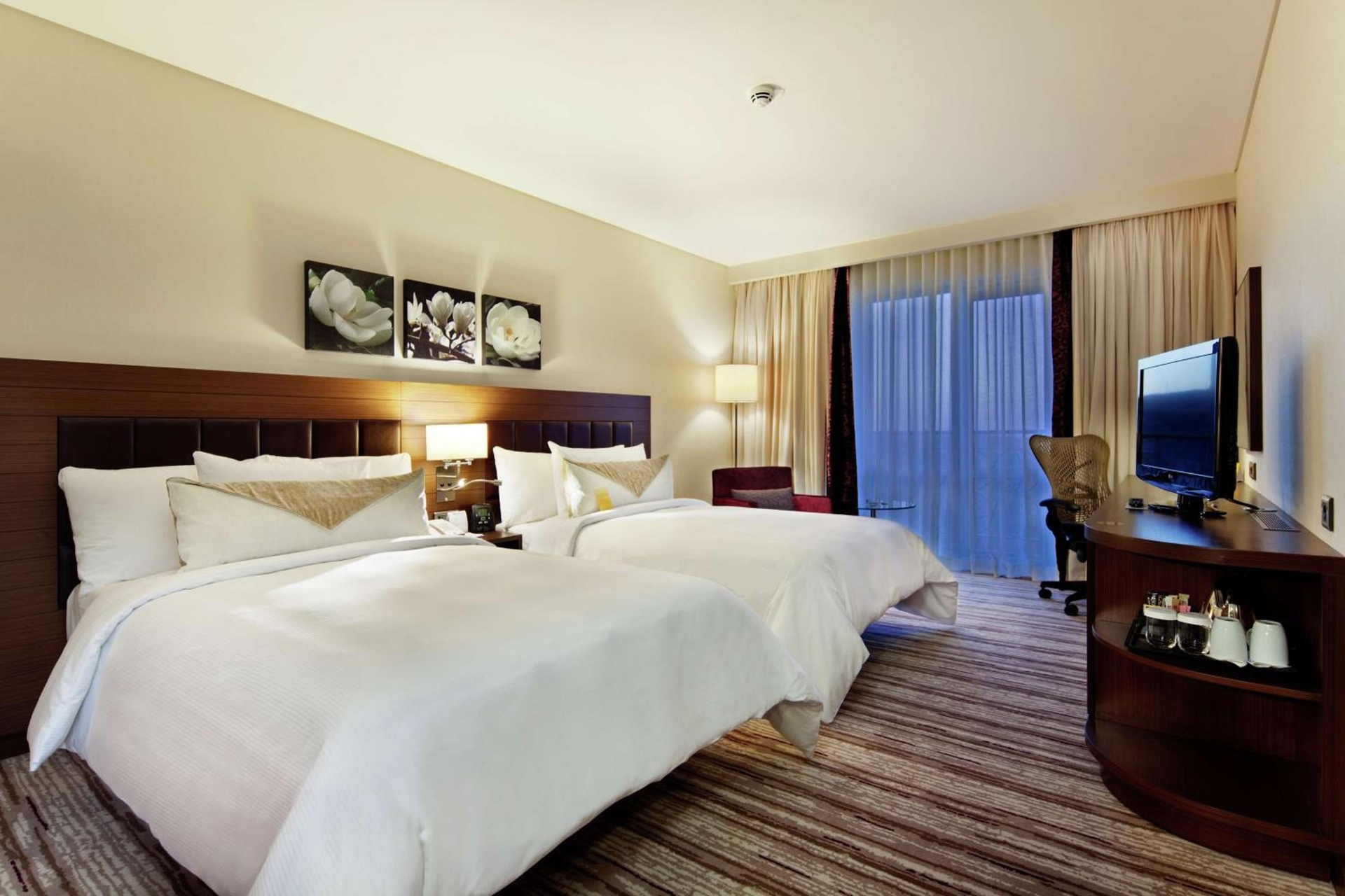 Foto de Hilton Garden Inn Mardin