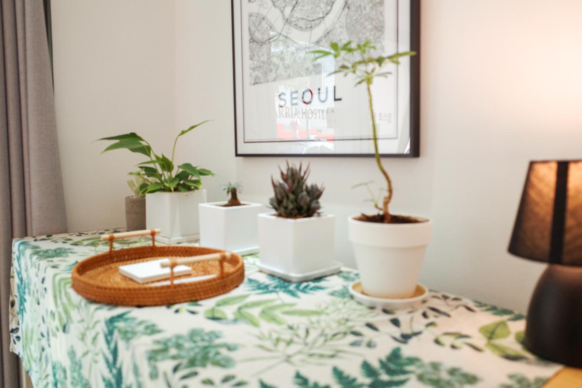 Foto de Starria Hostel foreign guest only