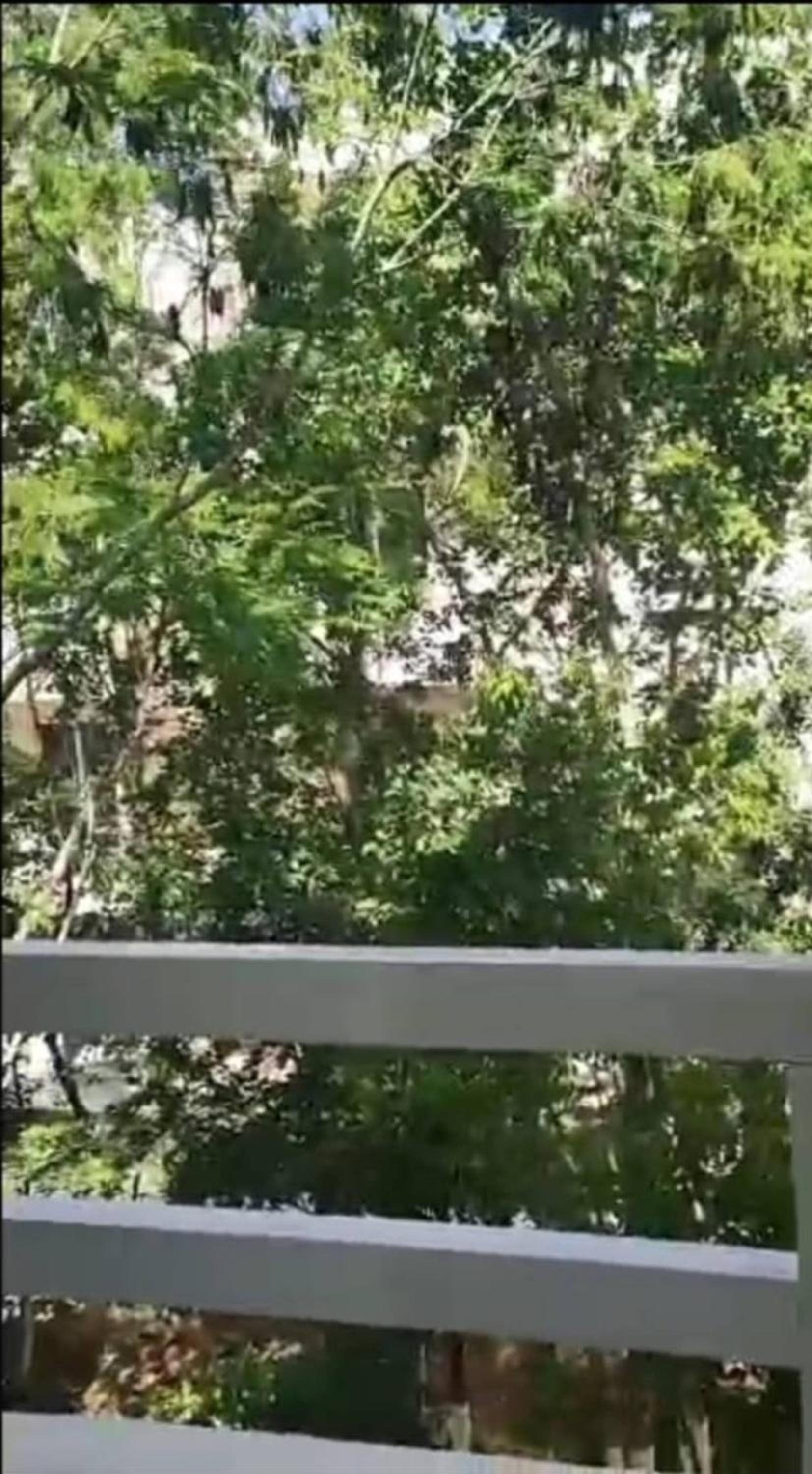 Foto de Moderno Departamento Vacacional En Playa