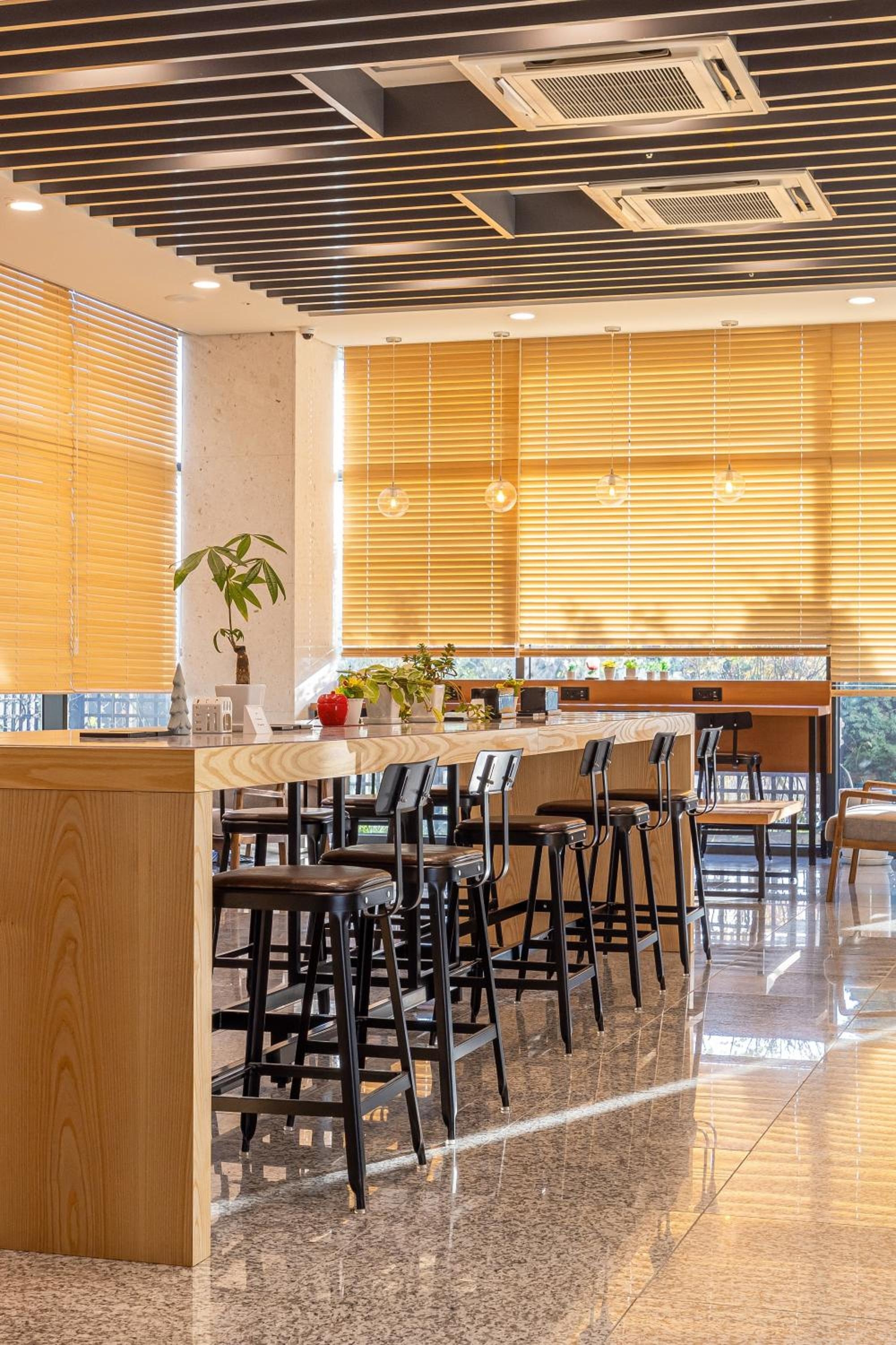 Foto de Ocean Soleview Hotel