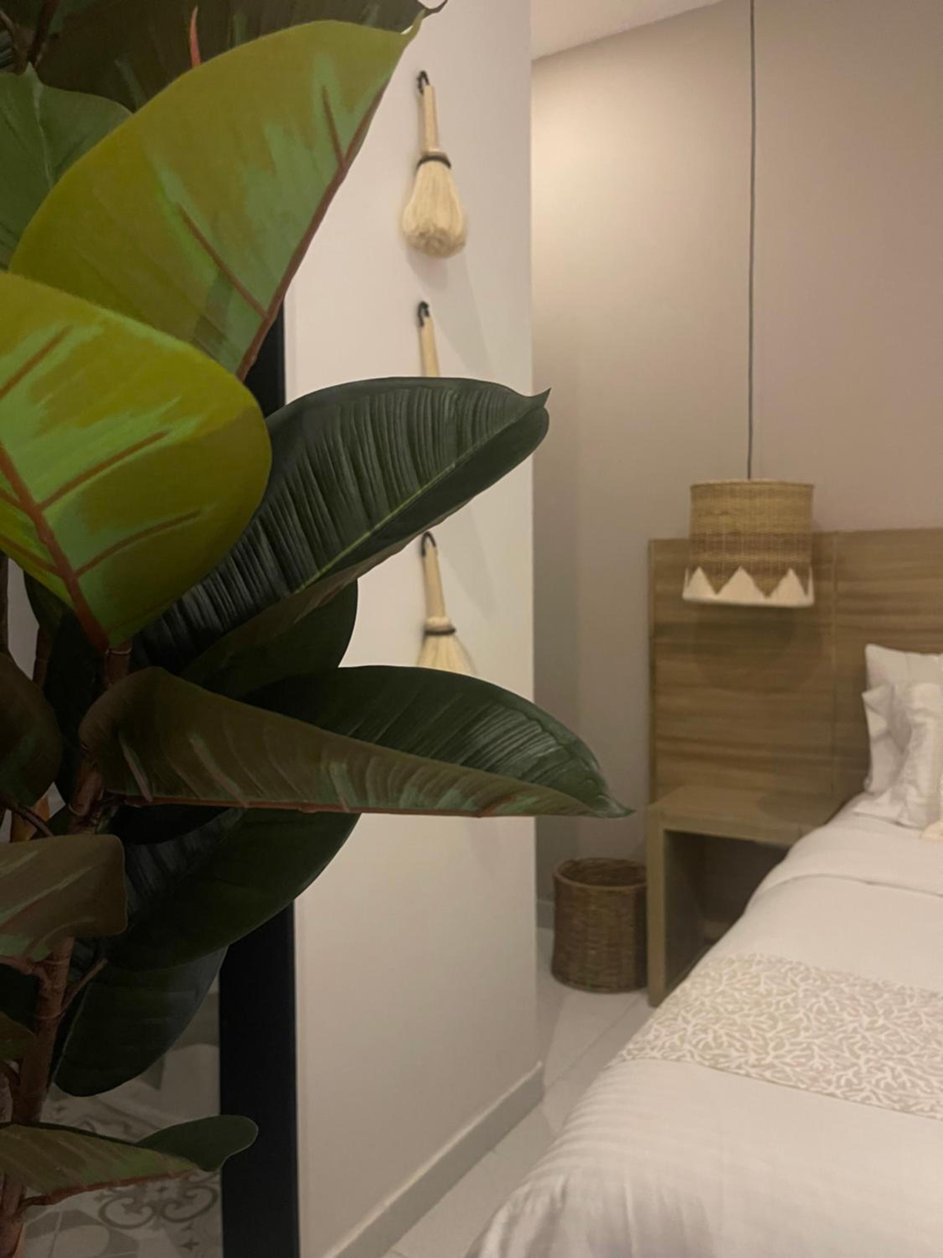 Foto de Moet Medellin Hotel