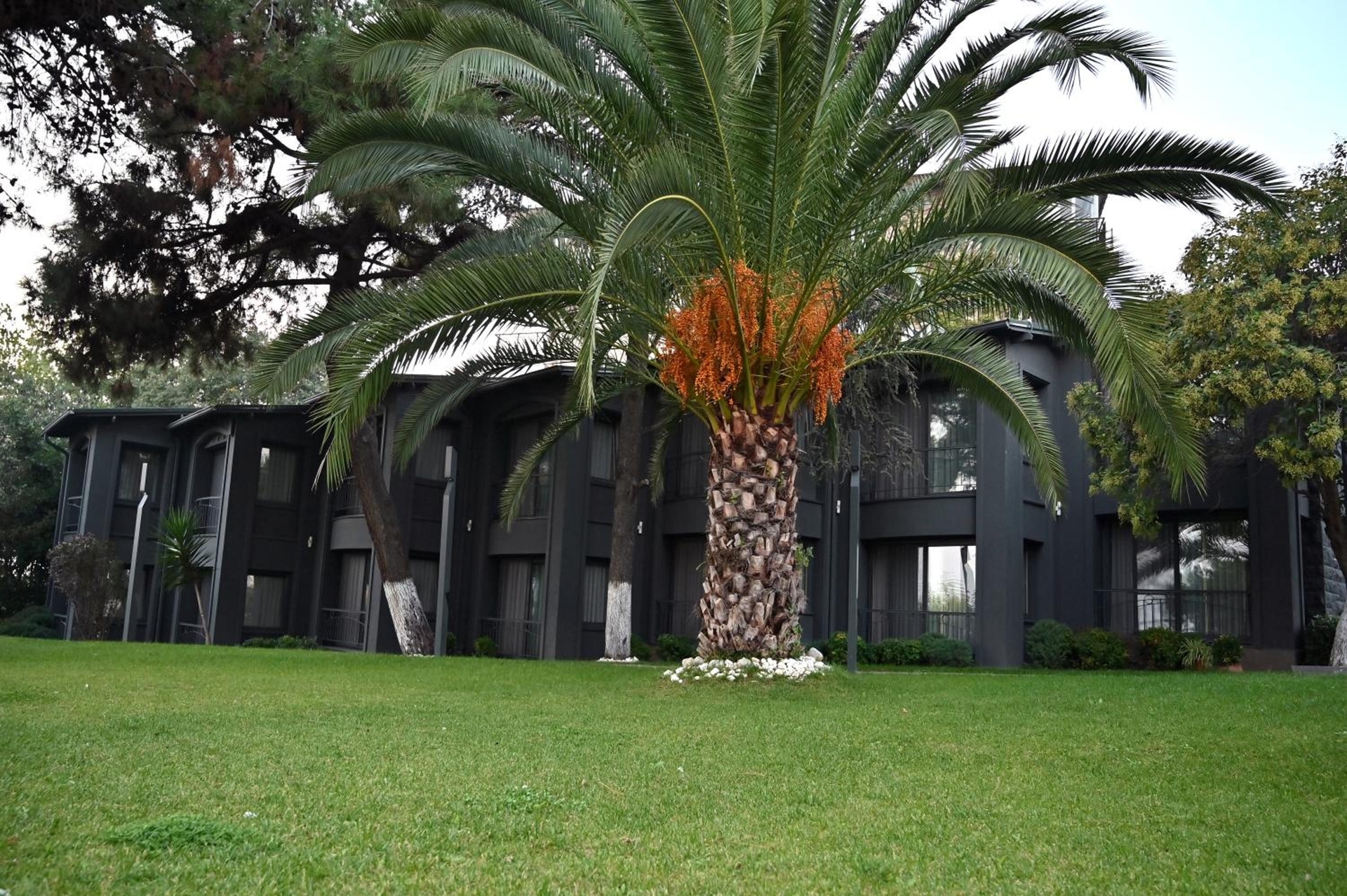 Foto de Denizatı Plus Hotel
