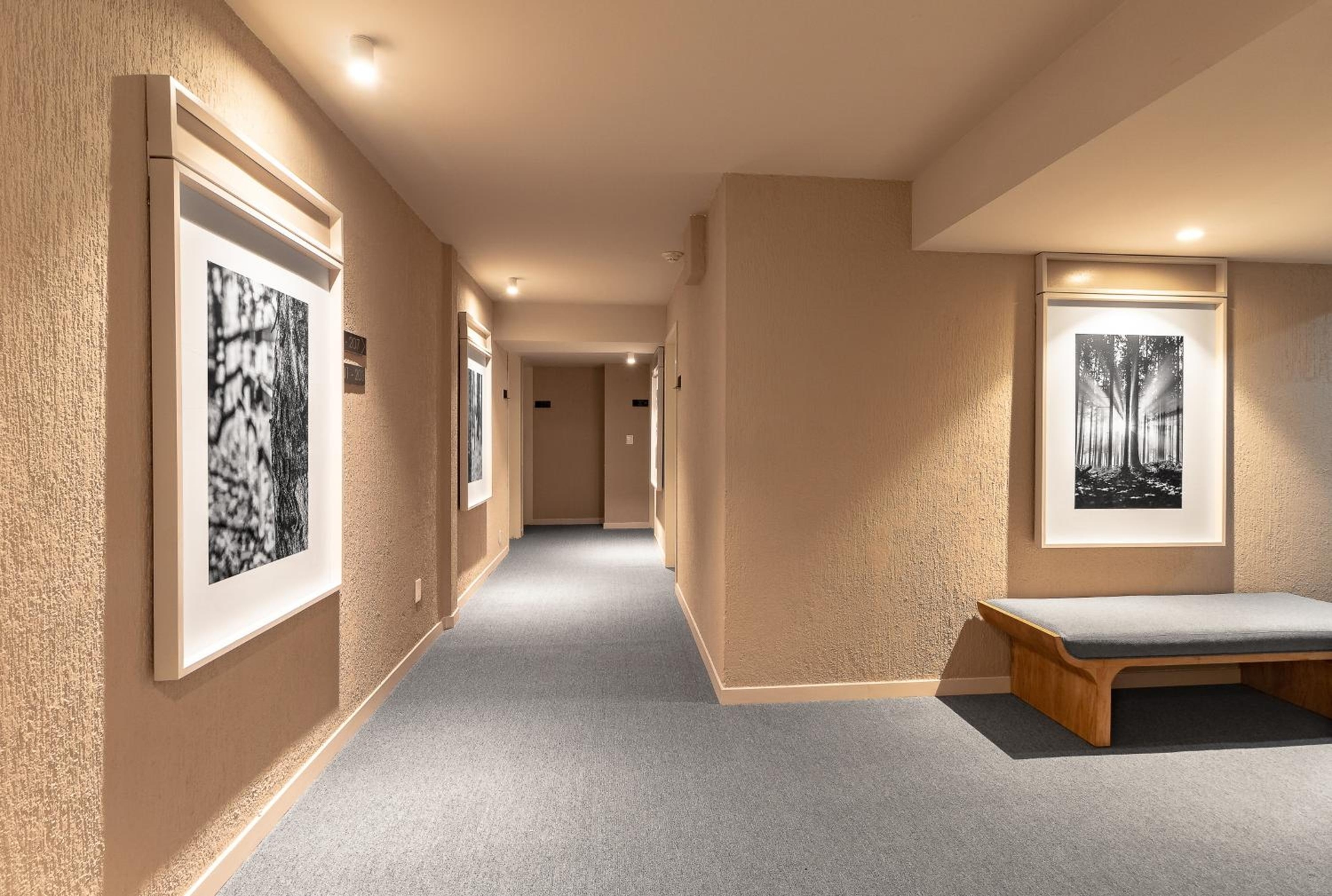 Foto de Oliva Plaza Hotel